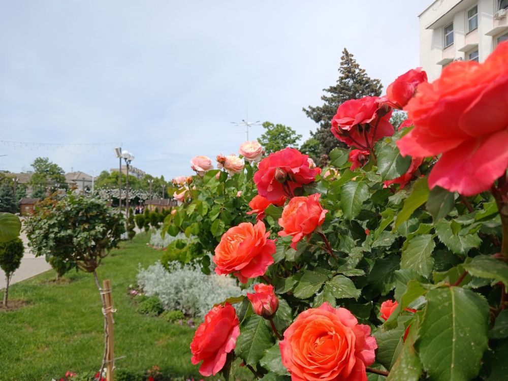 ��� �������� ��������� ����� �� ����� �� � ��, 9 ��� ��������� ���������� ����������, ��� �������