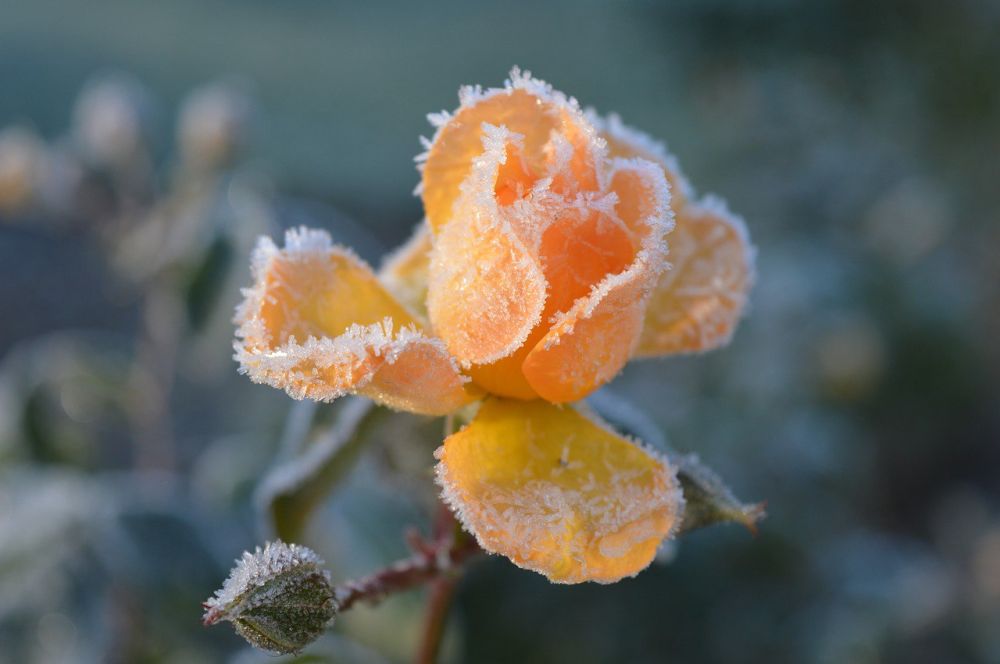 9 � 10 ��� �� ���������� � �������� ���� ��������� ������� ��������� �� ����� �� -2��