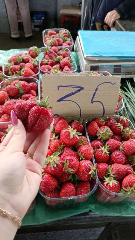 �������� �� �������� � ������ �� 30-35 ������ �� ����� � ���������