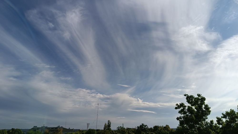 ���� ������� ����� ��������