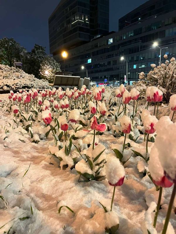 ���� ����� � ������ � ���� �� 9 ���