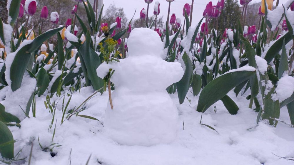 ��������� �� ���� ����������� ���������