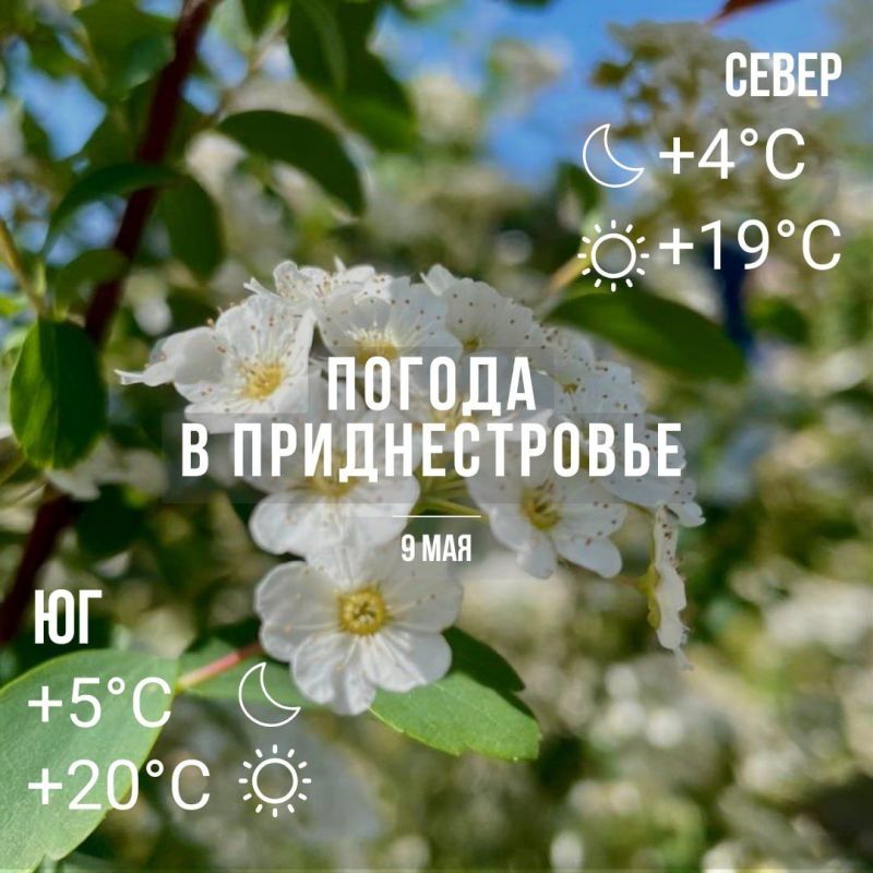 ���� � �� +20��. ��� �������