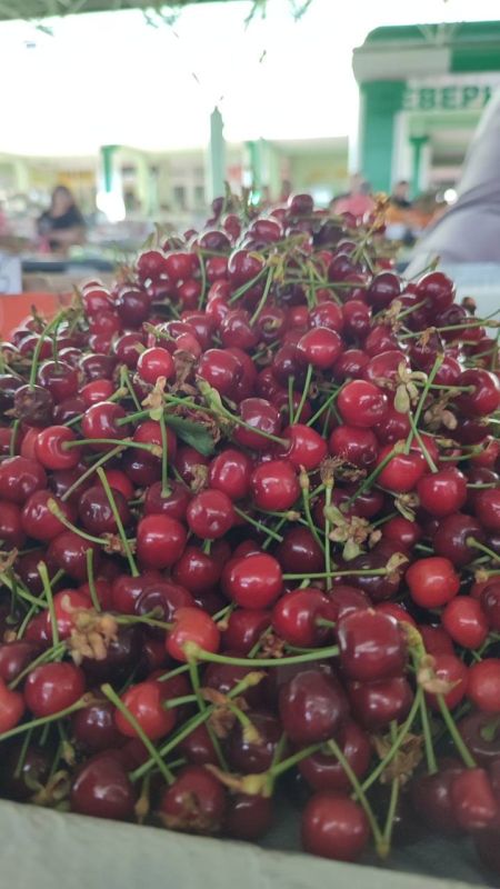 �� ����� ��������� ������� ������ ������� - ��� �������