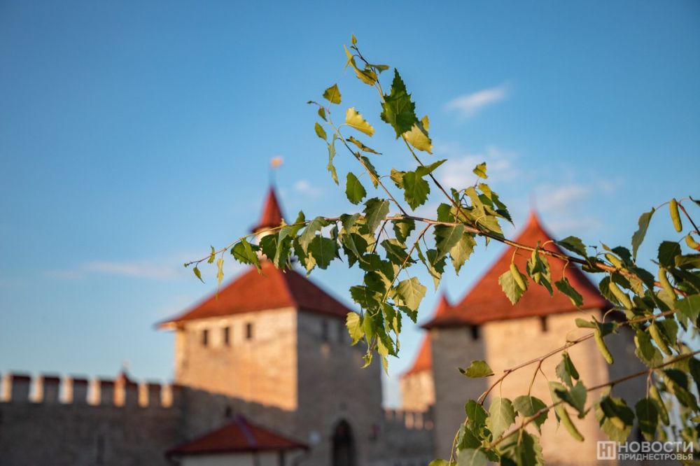 �� ��������� ������ ����������� ���������� �� ���� +20��