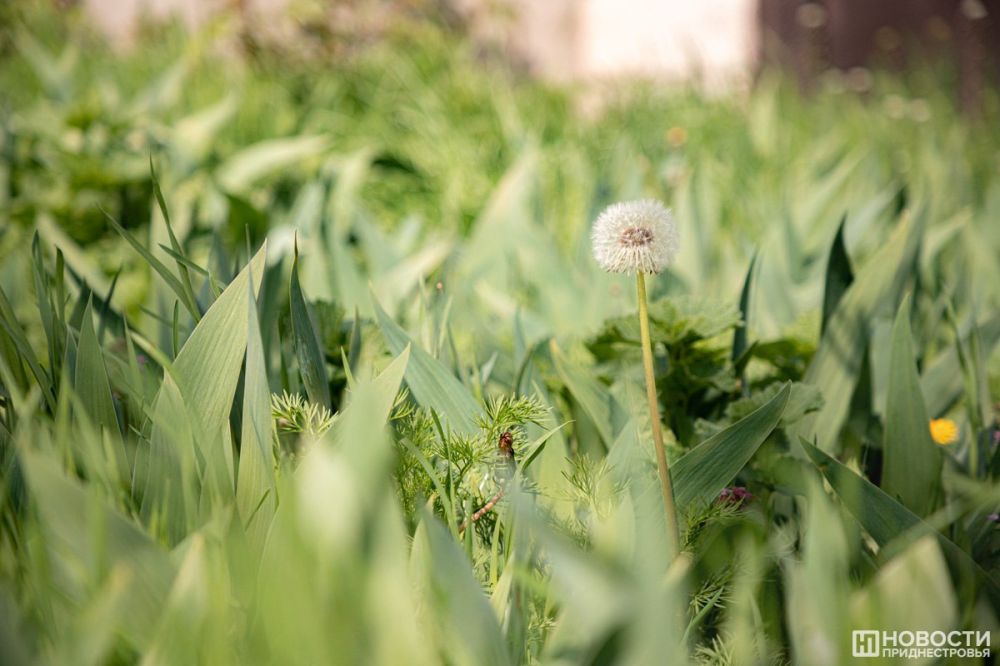 ����� 12 ���, � ����� � ������ ���� 13 ��� � ������������� ��������� ������� ��������� �� ����� �� -1��