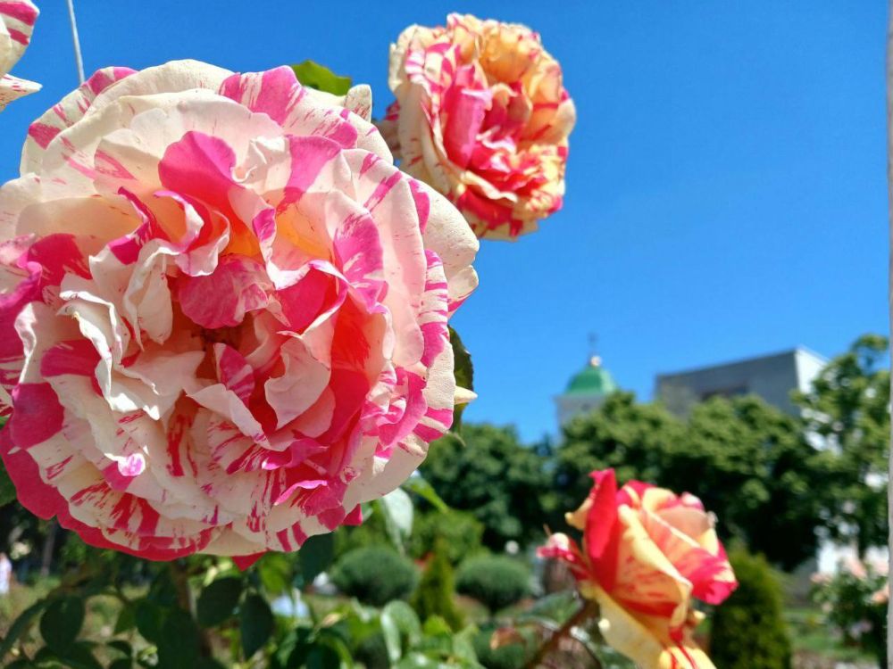 ��� �������� ��������� ����� �� ����� �� � ��, 11 ��� ��������� ���������� ����������, ����, ��������������� �� ������ ����������, ������� ������, ��������������� �����