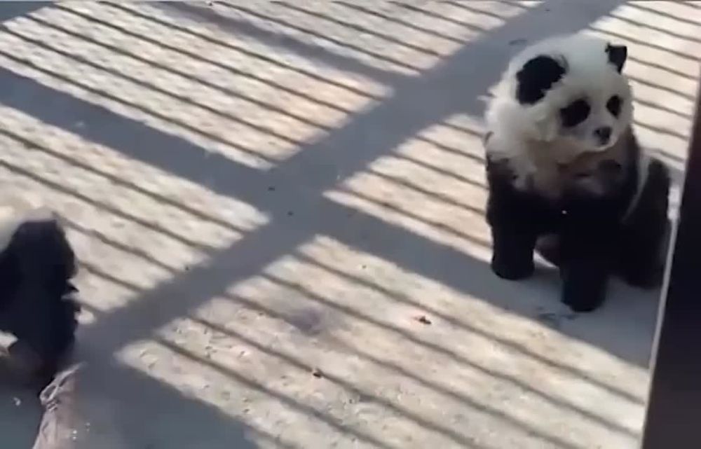 ��������� ������� ������� ���������� �����, ����� �������� �����������