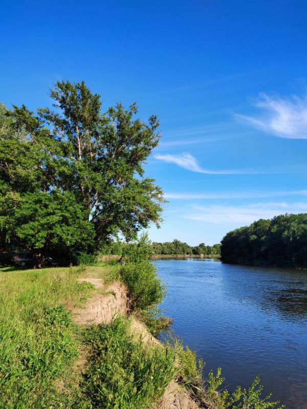 ��������: 10-14 ��� ������ �������� �� 3,5 ������ ���� ������������ ���, �������� ����������� �����