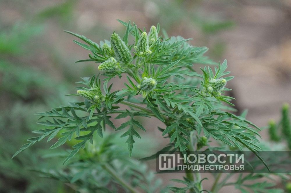 � 16 ��� � ������������� �������� ����� ������ � ���������