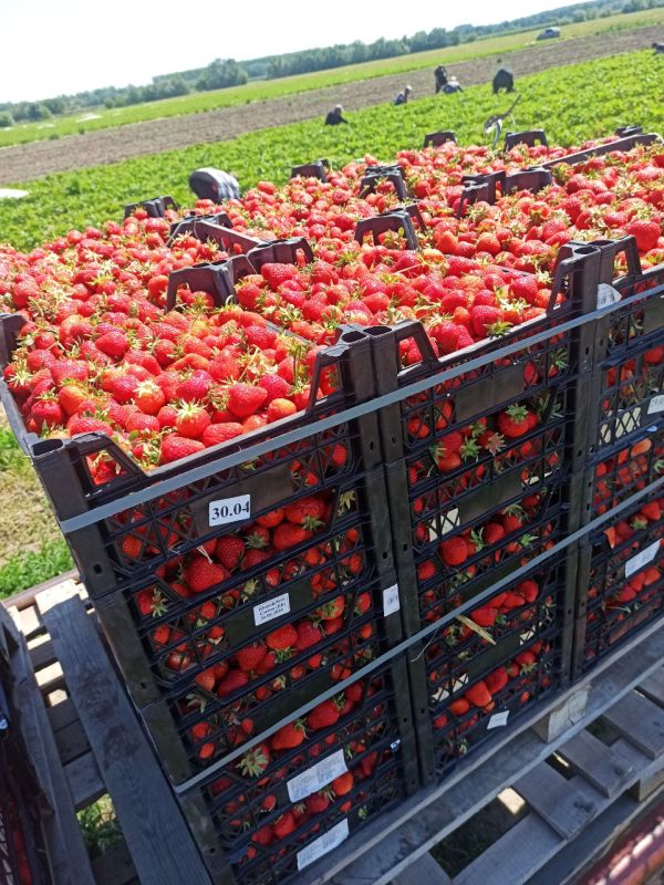 ����� �������� � ���� �������� � ����������