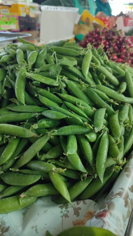 ������ ������� �� ��������� ��� �������� ������