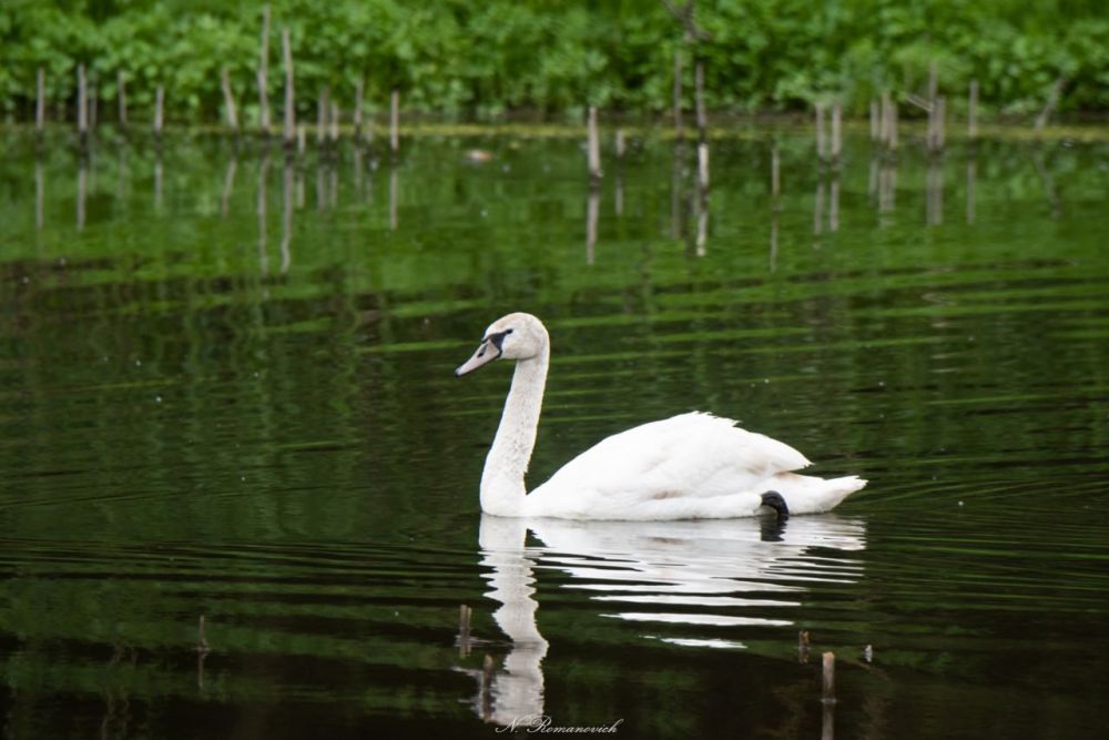 ������ ������ � ������ ���