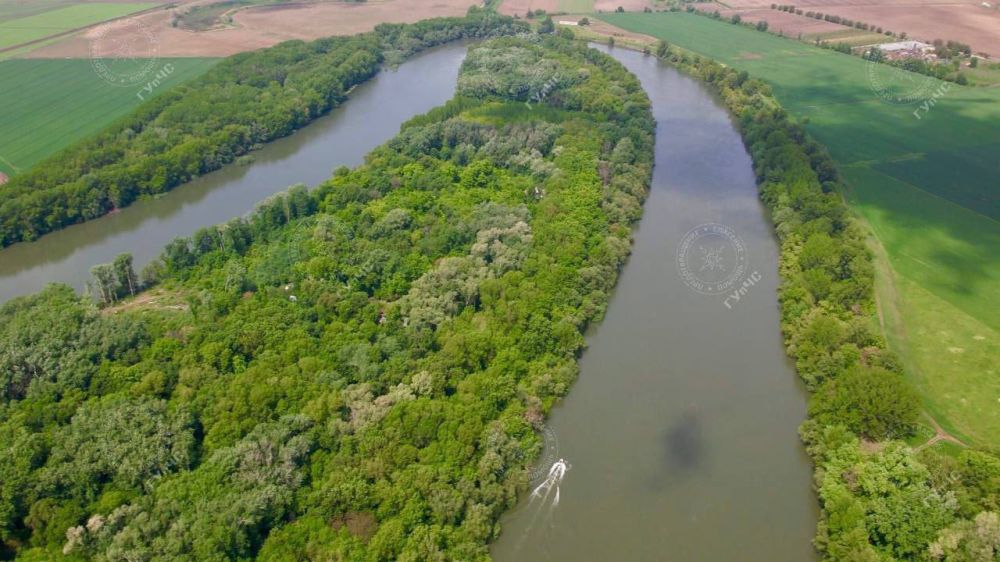 ��������: ��������������� �������