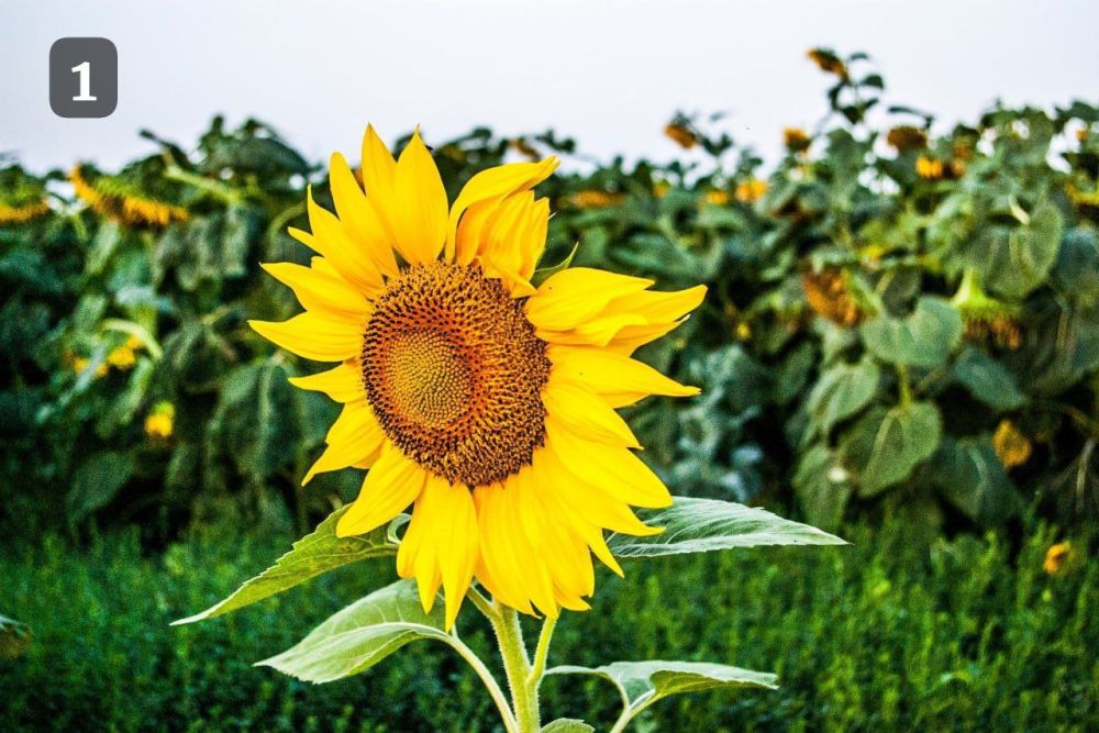 ��������� ��������� ����� �������� ����� ������� ������!�, ������������ ����� ������� ��������� � ������ �������������� ���