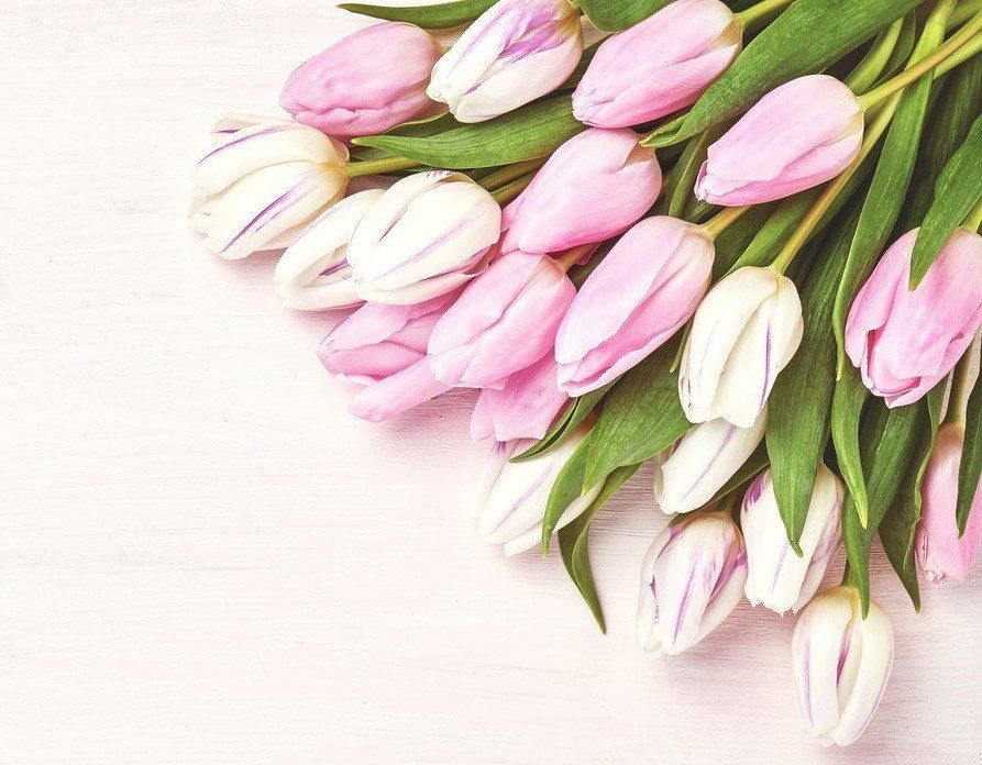 ������������ ��������� ���� �������� �����