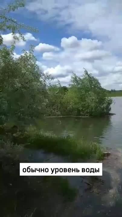 ����� ������ ���������. ����� ������. ��� ������. ��� ���������