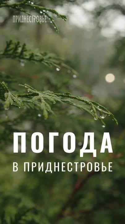 11 ��� ��������� ���������� ����������, ����, ��������������� �� ������ ����������, ������� ������, ��������������� �����