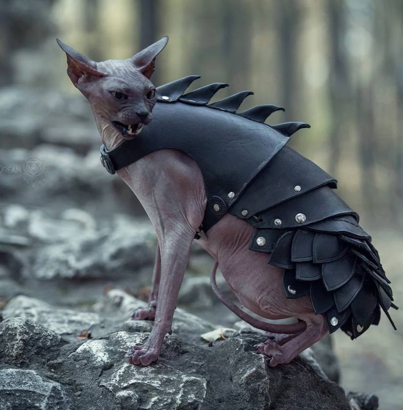 � ������ ������ ������� � ������ ������� ������� ��� �����