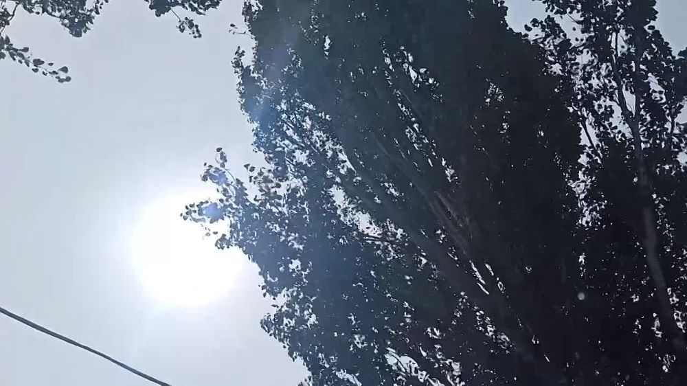 ��� ���������� ����� ����