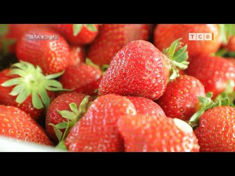 ����� ����� ����� � ����� �� ��������� ���� ��������� ������� ��������