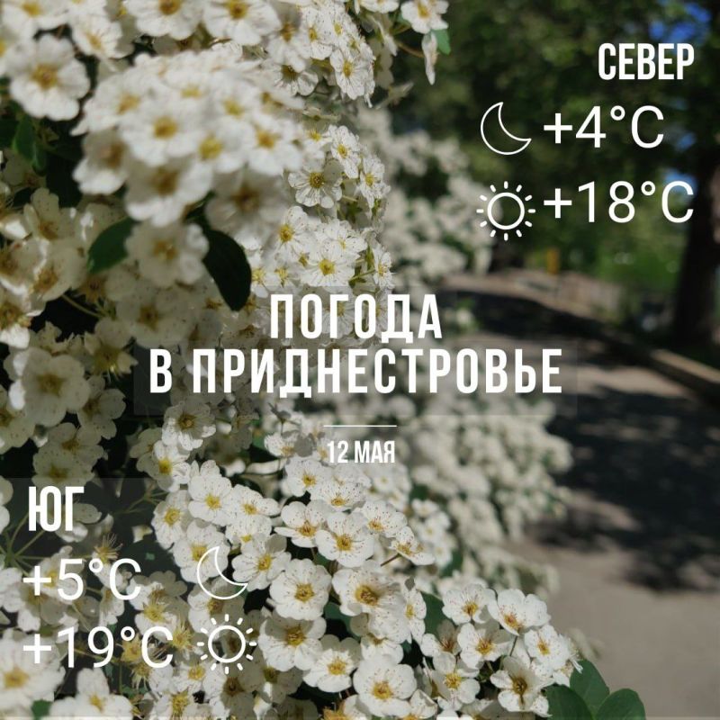 ���� � �� +19��. ��� �������