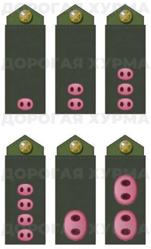 ������� ����� ����� ����� �������� �� �������