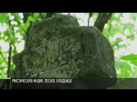 ��� ������������� ���� ����� ���� ������ � ���������� ������ ������������ ����������� ����� ������� ���������