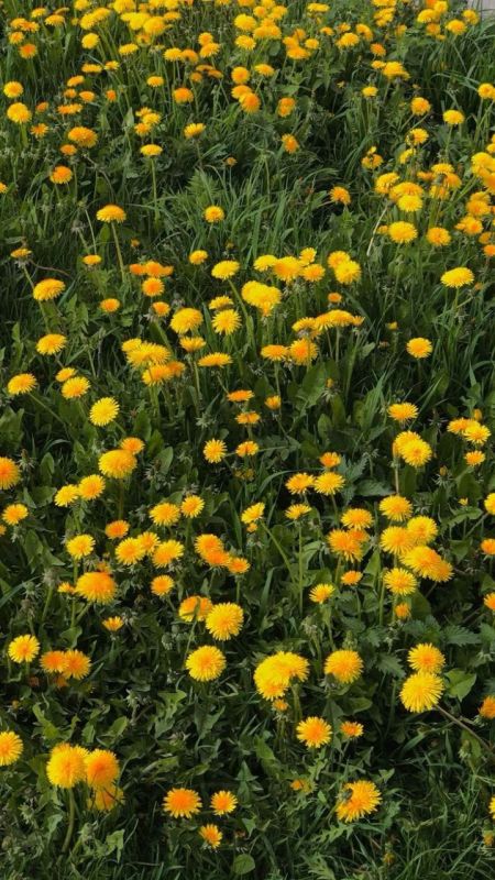 ������� - ��������� ���� �����������!