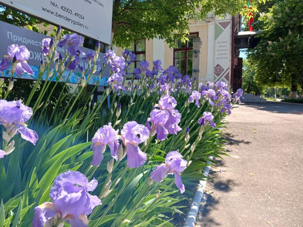 ��������������� ��������������� �������������� ����� ���������� �� �������� �����