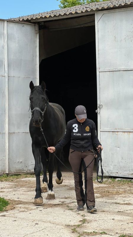 � �����-���������� ����� ������ ��������� ������ ����� ���������� �������