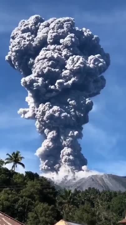 ������ ��� � �������� ������� ��������� �� ������� ���������� �������� ���������� ����� ����� �����