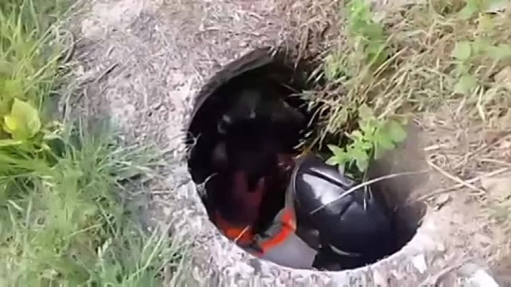 �� ����� � �������� �� �������� ������ �� ���������� �����������