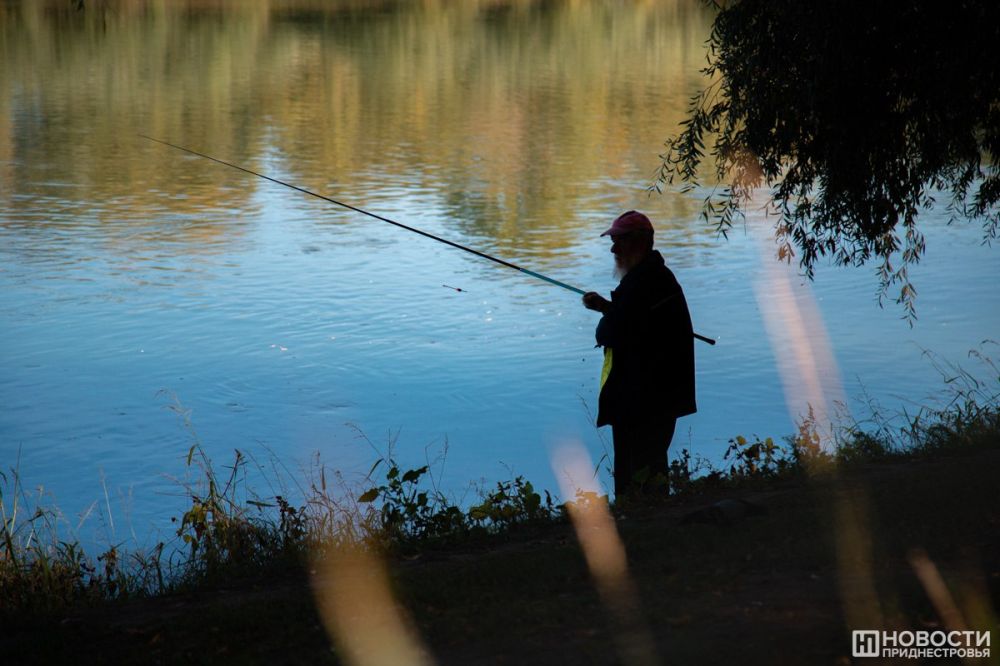 ��������� ������ �� �������� 3 ������ � �����������