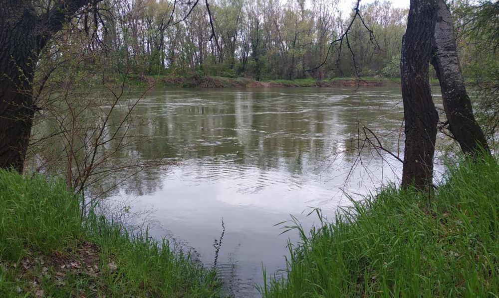 ��������������� ���������� �� 14 ��� 2024�