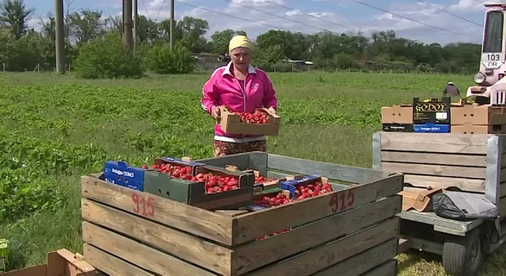 �� ��������� � ��������� �������� ��������