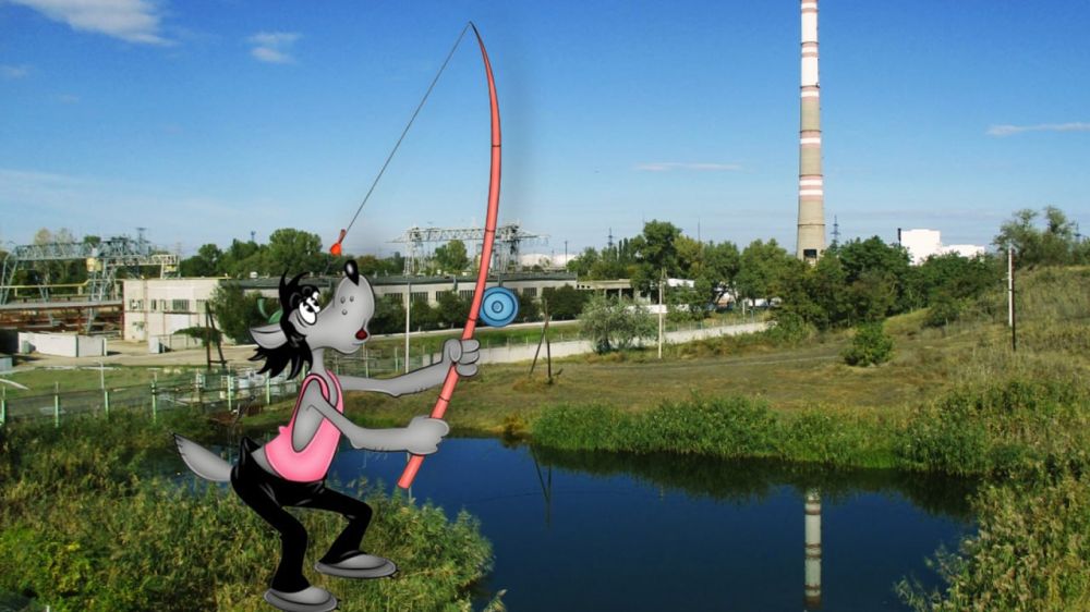 �� ����� ������ � ����������� ��������� ������-����������� � ����� �������