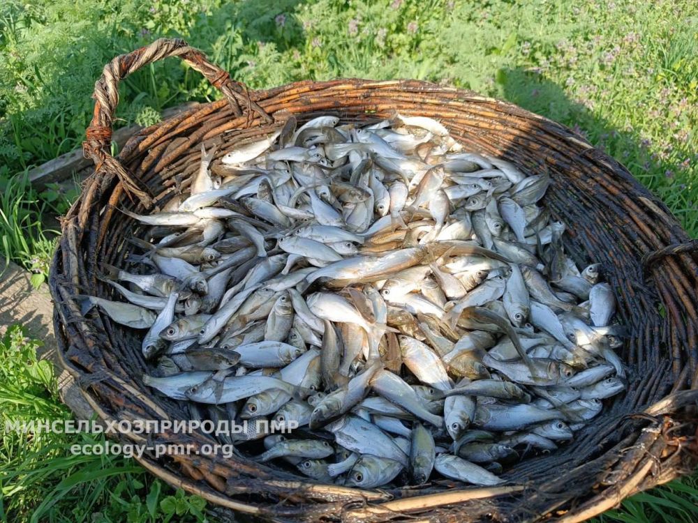 ��� ����� 11 ���� �����, ������, ������ �����, ������ � �������� ������������� ��������� � ������ �������������, �������� ����������