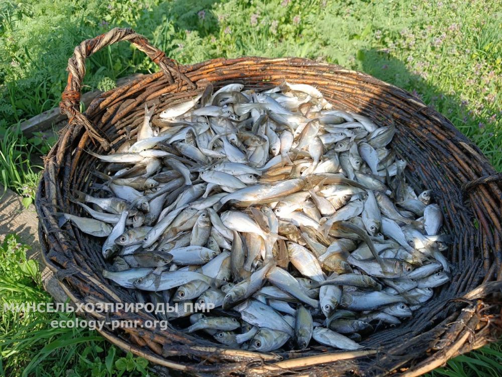 ��� ����� 11 ���� ��������� �����, ������, ������ �����, ������ � �������� ������������� ��������� � ������ �������������