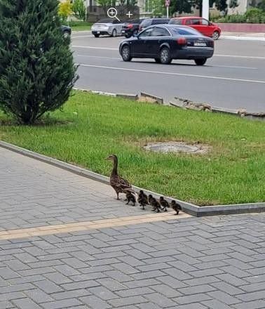 ������ ���������� �����. ������ ��������� ������������