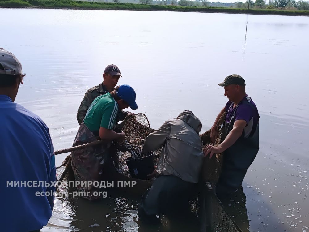 ����� 11 ���� ��������� ��� �������� � ������ ����������