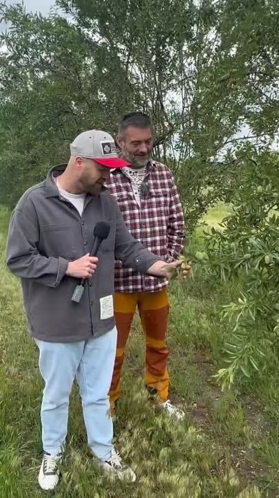 ���� �������. ������, ������� � "��������" ����������