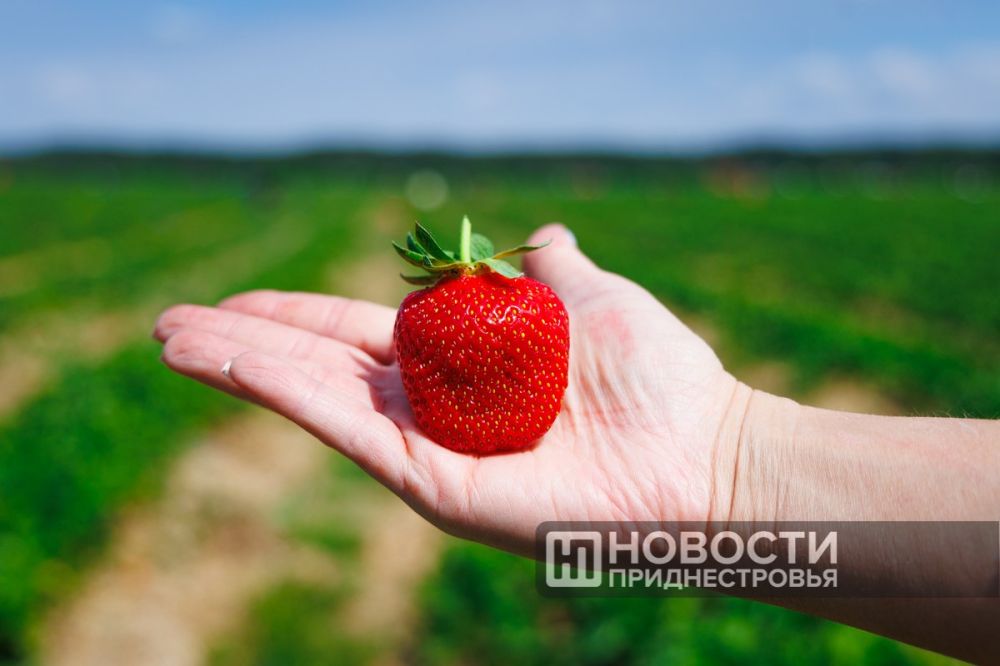 �� ��������������� ����� �������� ��������