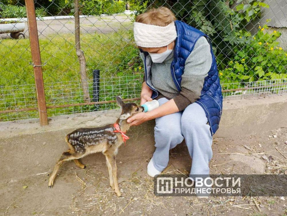 � ������������ �������� ����������