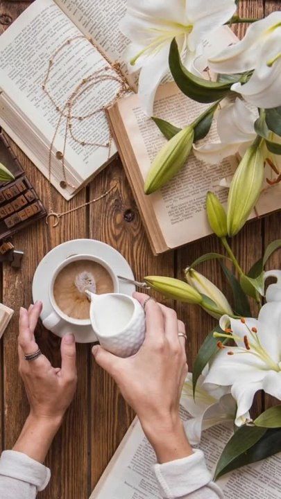 ������ ����