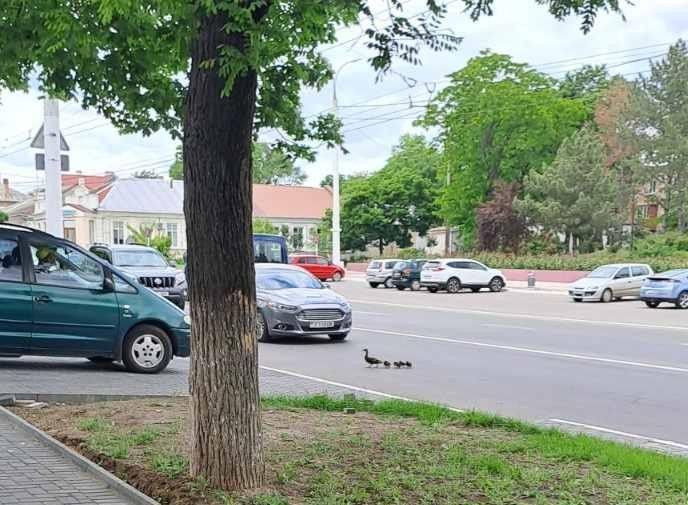 �� ���������� ������ � ��������� ��������, ������ ��������� ����� � ������������ �����