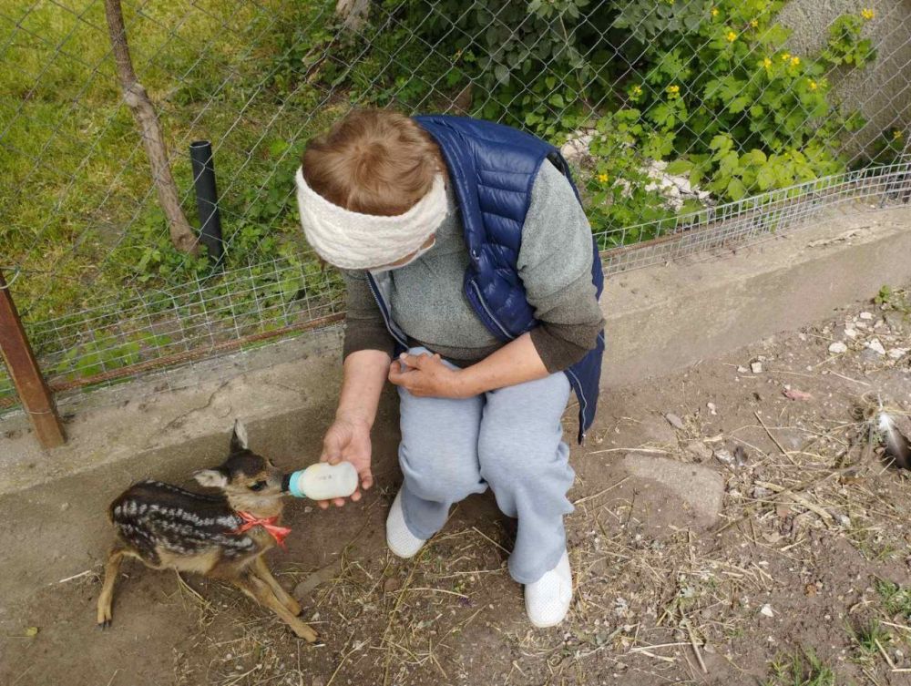 � ��� ����� � ������������ �������� �������� ��� ������, �������� ������ Dubossary