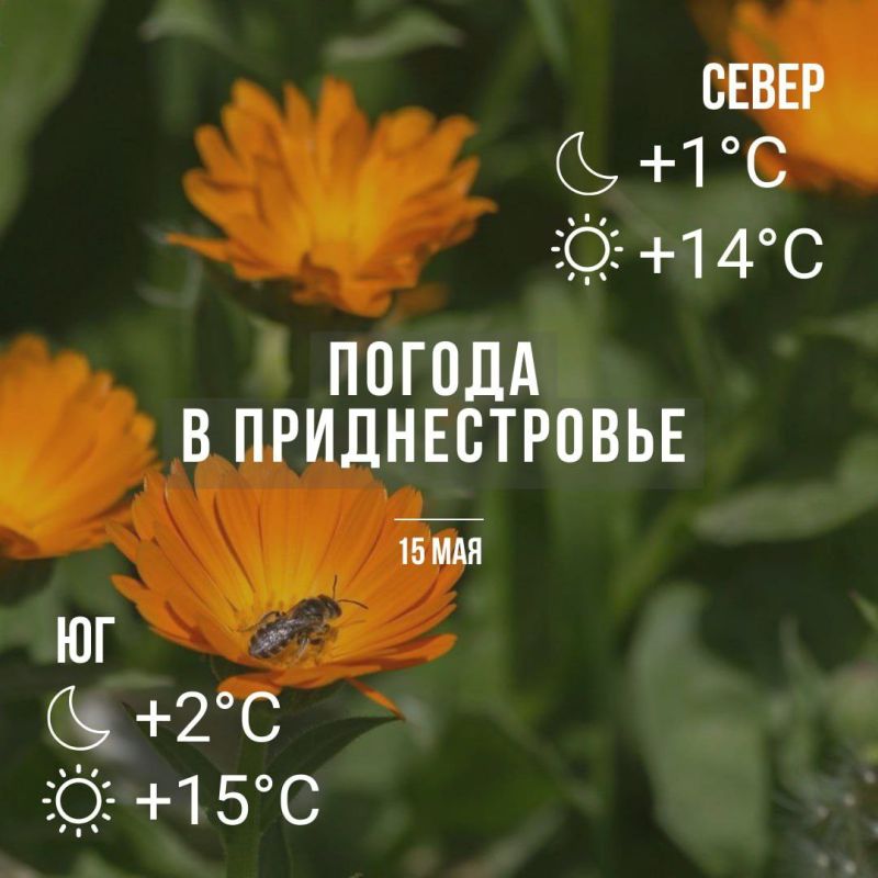 ������� ����� �������. ���� � �� +15��