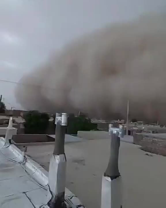 ���� ���� � �����. �������� ���� ����������� ����� ������