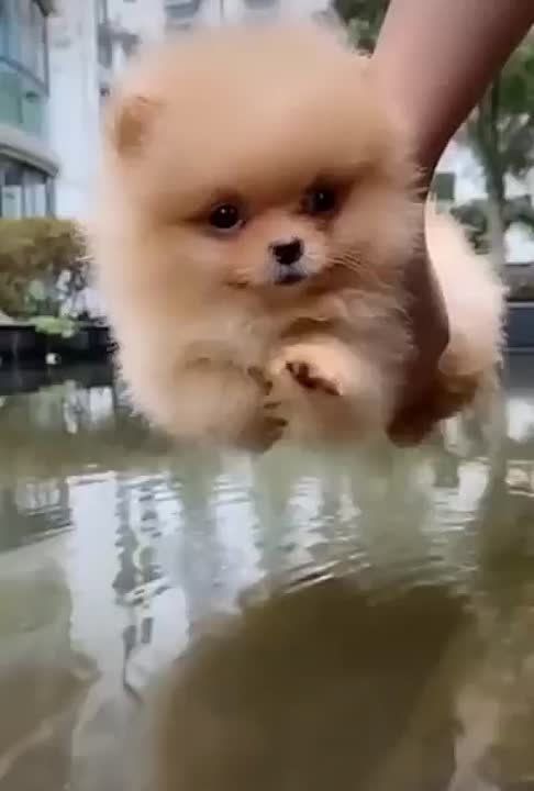 ��������� ������ ���������� � ���������� ������